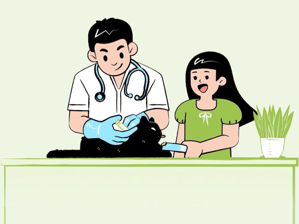 Veterinary care illustration